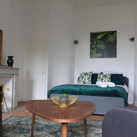 Paul Sabatier-T1-Vue Sur Jardin-Luxe-Wifi-Fi-Velo Apartment Castelnaudary Exterior photo